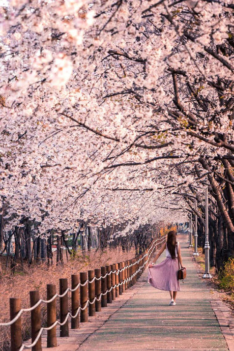 Spring is here: It's Time to Let Your Pleasure Blossom