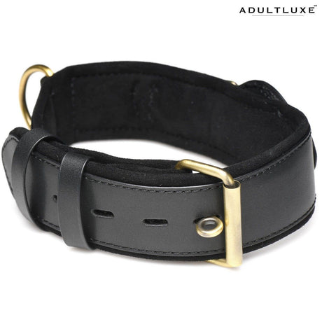 Tracer Tracking Collar - AdultLuxe