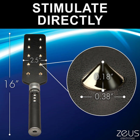 E-stim Spiked Paddle by Zeus Electrosex - AdultLuxe