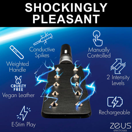 E-stim Spiked Paddle by Zeus Electrosex - AdultLuxe