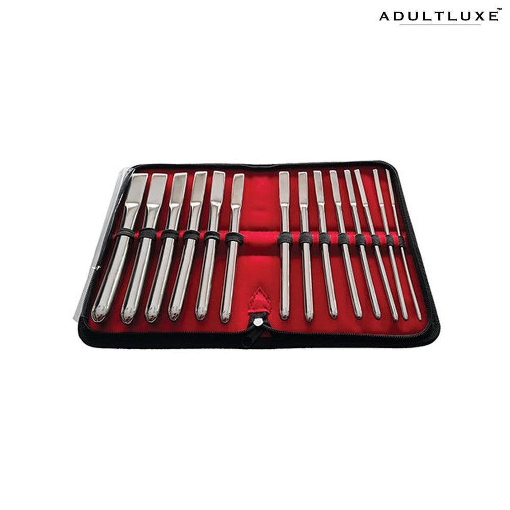 Rouge Stainless Steel Hegar Uterine Dilators - Set Of 14 - AdultLuxe