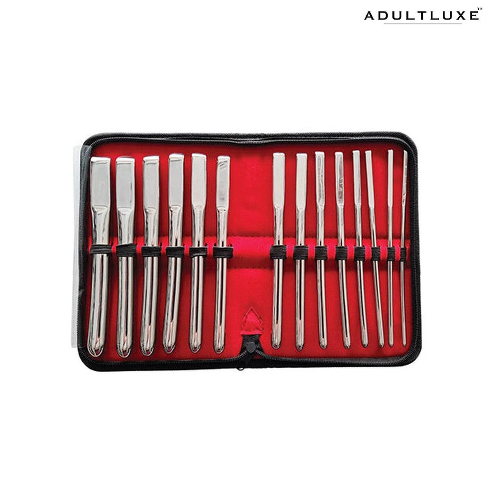 Rouge Stainless Steel Hegar Uterine Dilators - Set Of 14 - AdultLuxe