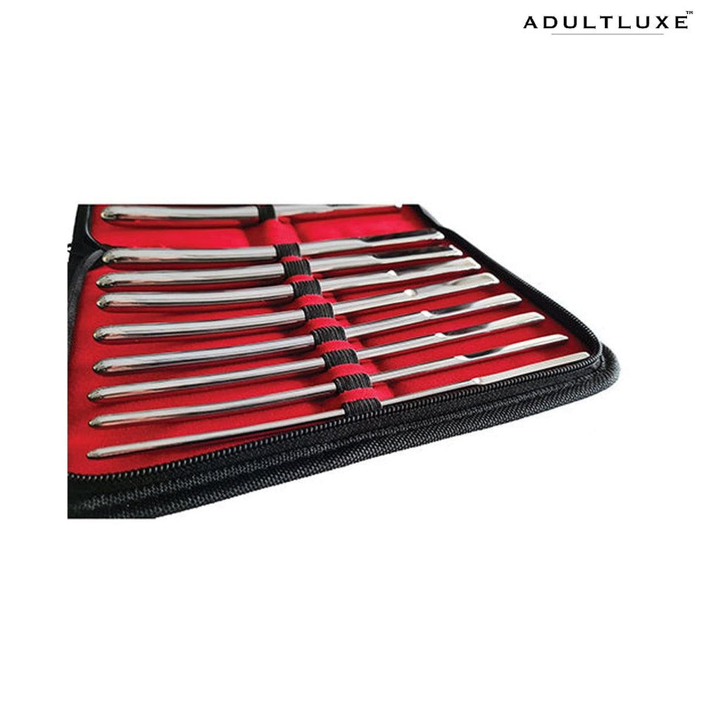 Rouge Stainless Steel Hegar Uterine Dilators - Set Of 14 - AdultLuxe