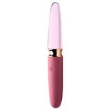 Prisms VibraGlass 10x Rose Dual Ended Smooth Silicone & Glass Vibrator